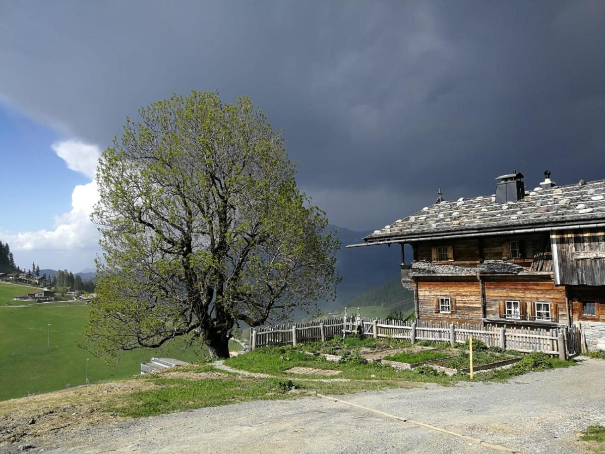 Appartements Alpenblick Soell Eksteriør bilde