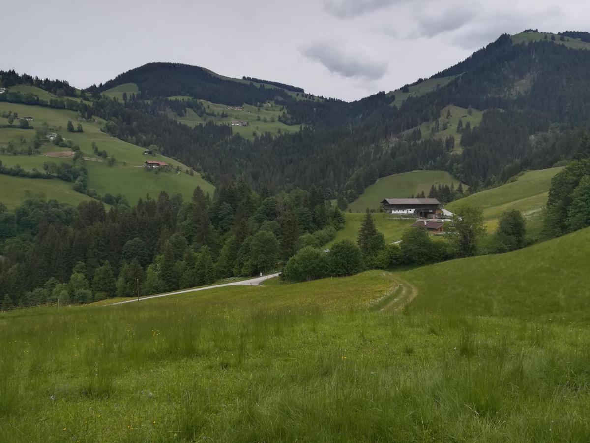 Appartements Alpenblick Soell Eksteriør bilde